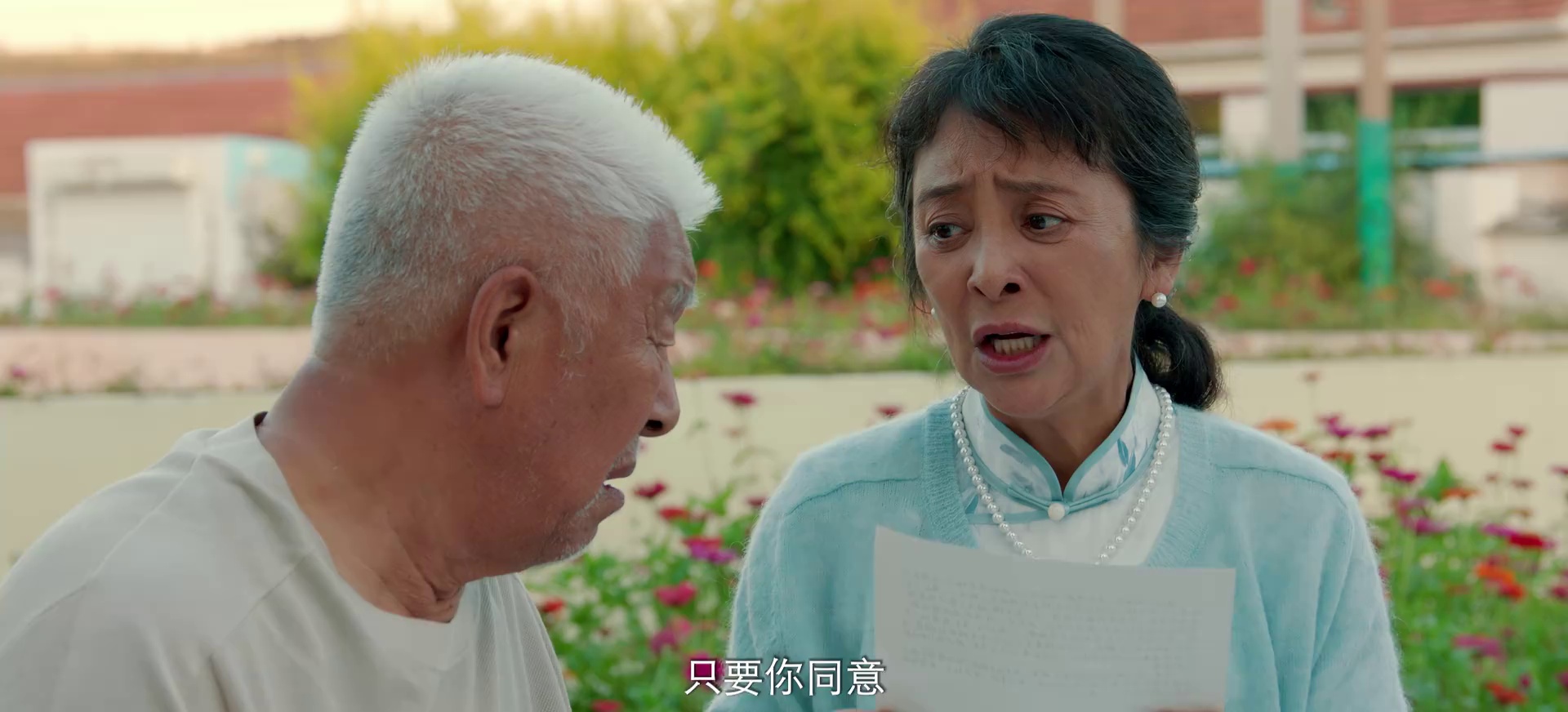 图片[2]-[BT下载][二龙湖·村暖花开2][全28集][WEB-MP4/8.27G][国语配音/中文字幕][1080P][流媒体][ColorTV]-影音屋