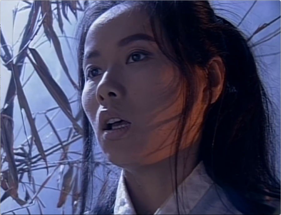 图片[6]-[网盘下载][倚天屠龙记][全64集][WEB-MP4/115G][国语中字][1080P][马景涛叶童周海媚版]-影音屋