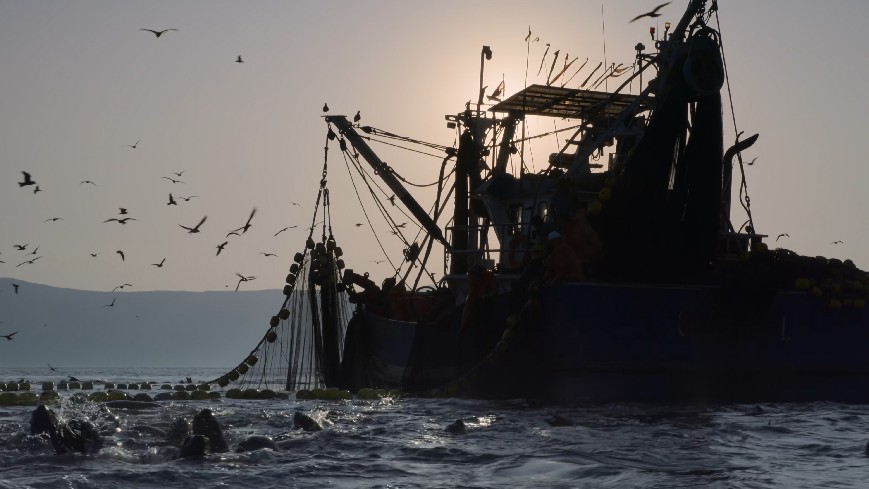 图片[8]-[网盘下载][地球脉动 第三季][全8集][WEB-MKV/20G][英语中字][4K-2160P][H265][流媒体][纪录片]-影音屋