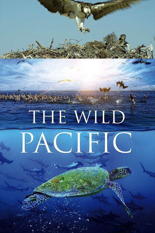 狂野太平洋[中文字幕].The.Wild.Pacific.2016.1080p.WEB-DL.H264.AAC-PandaQT 0.64GB-影音屋