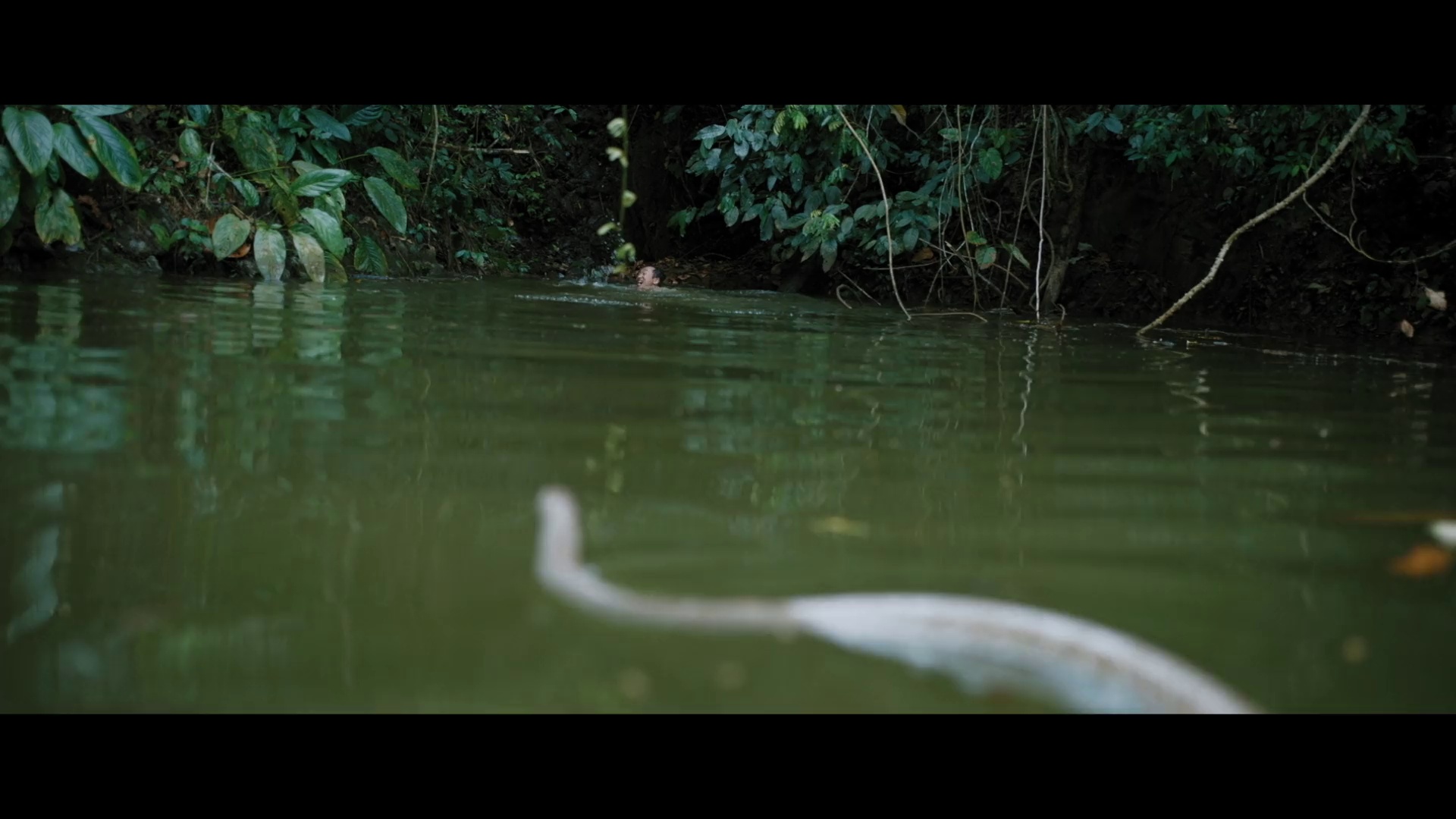 图片[3]-狂蟒之灾[国语音轨/简繁英字幕].Anaconda.Cursed.Jungle.2024.1080p.NF.WEB-DL.DDP.5.1.H.264-DreamHD 3.31GB-影音屋