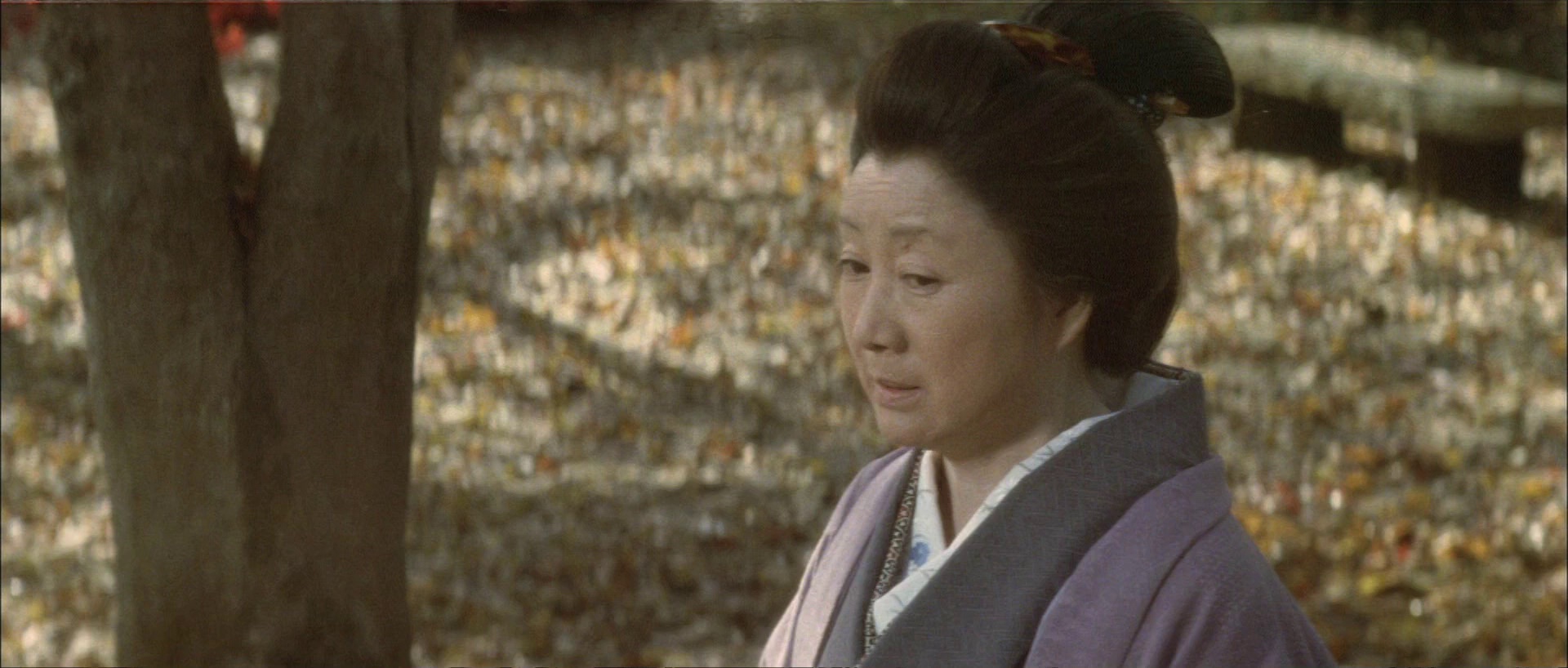 图片[4]-春琴抄[国日多音轨/中文字幕].A.Portrait.of.Shunkin.1976.1080p.BluRay.x264.FLAC.2.0.2Audio-QuickIO 9.43GB-影音屋