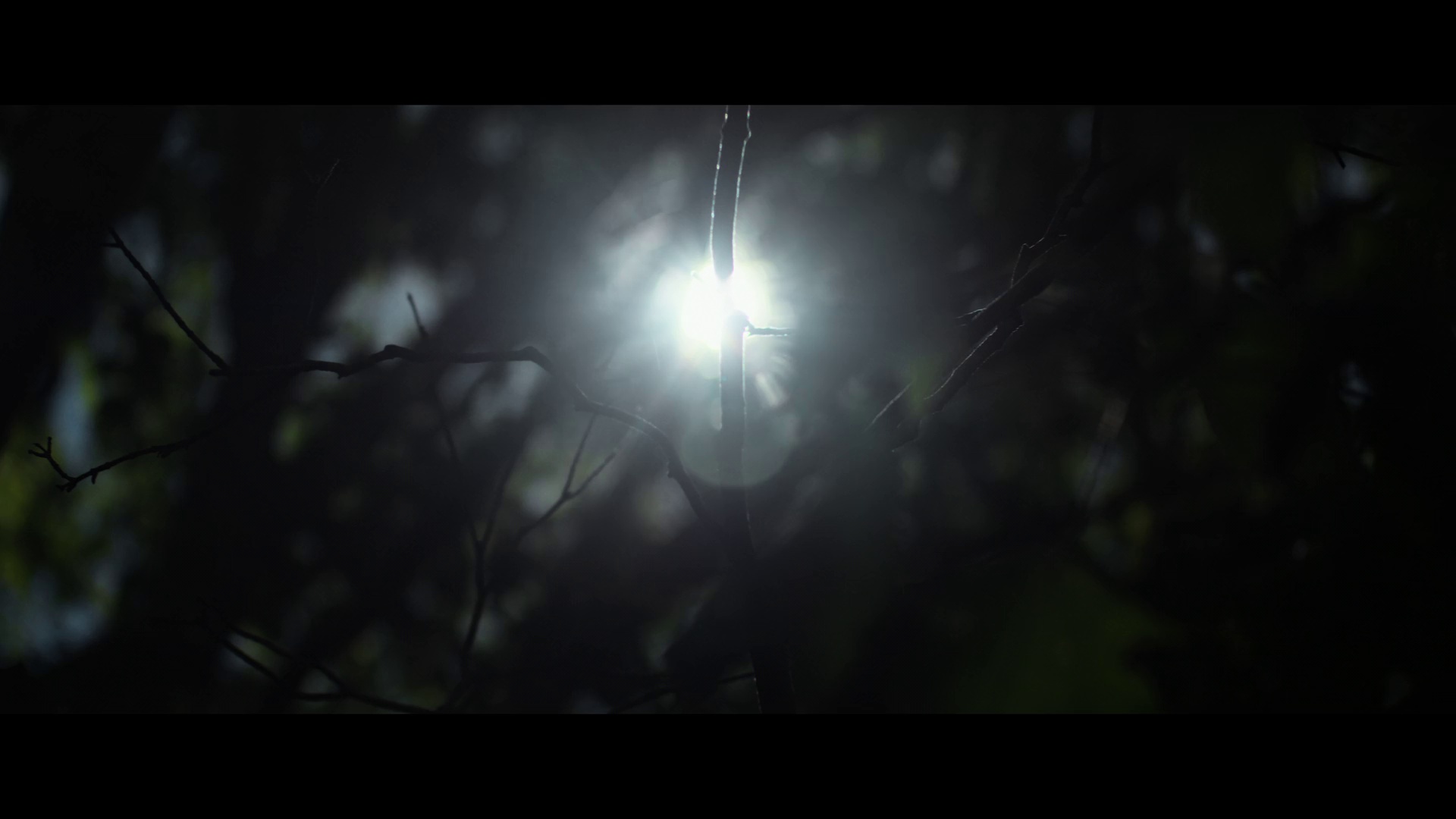 图片[2]-瘦长鬼影[无字片源].Slender.Man.2018.1080p.NF.WEB-DL.DDP.5.1.H.264-DreamHD 3.63GB-影音屋