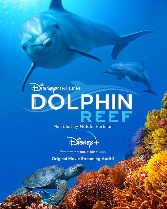 海豚礁[中文字幕].Dolphin.Reef.2020.1080p.WEB-DL.H264.AAC-PandaQT 1.00GB-影音屋