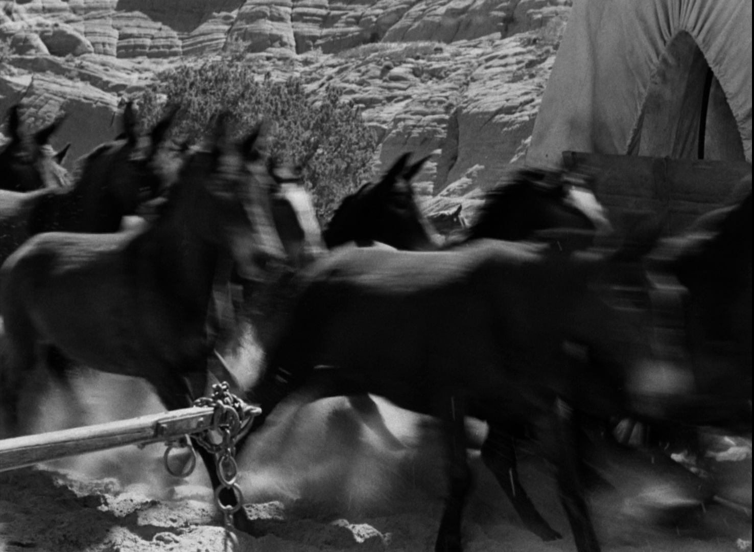 图片[5]-娘子军征西[简繁英字幕].Westward.the.Women.1951.1080p.BluRay.x264.FLAC.2.0-QuickIO 11.73GB-影音屋