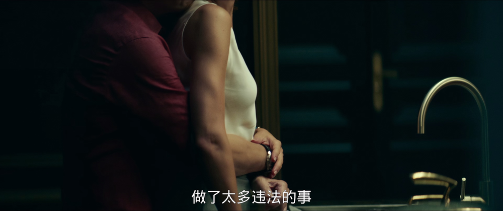 图片[3]-猎狐·行动[高码版][国语配音/中文字幕].Fox.Hunt.2025.2160p.HQ.WEB-DL.H265.DTS5.1-DreamHD 15.59GB-影音屋