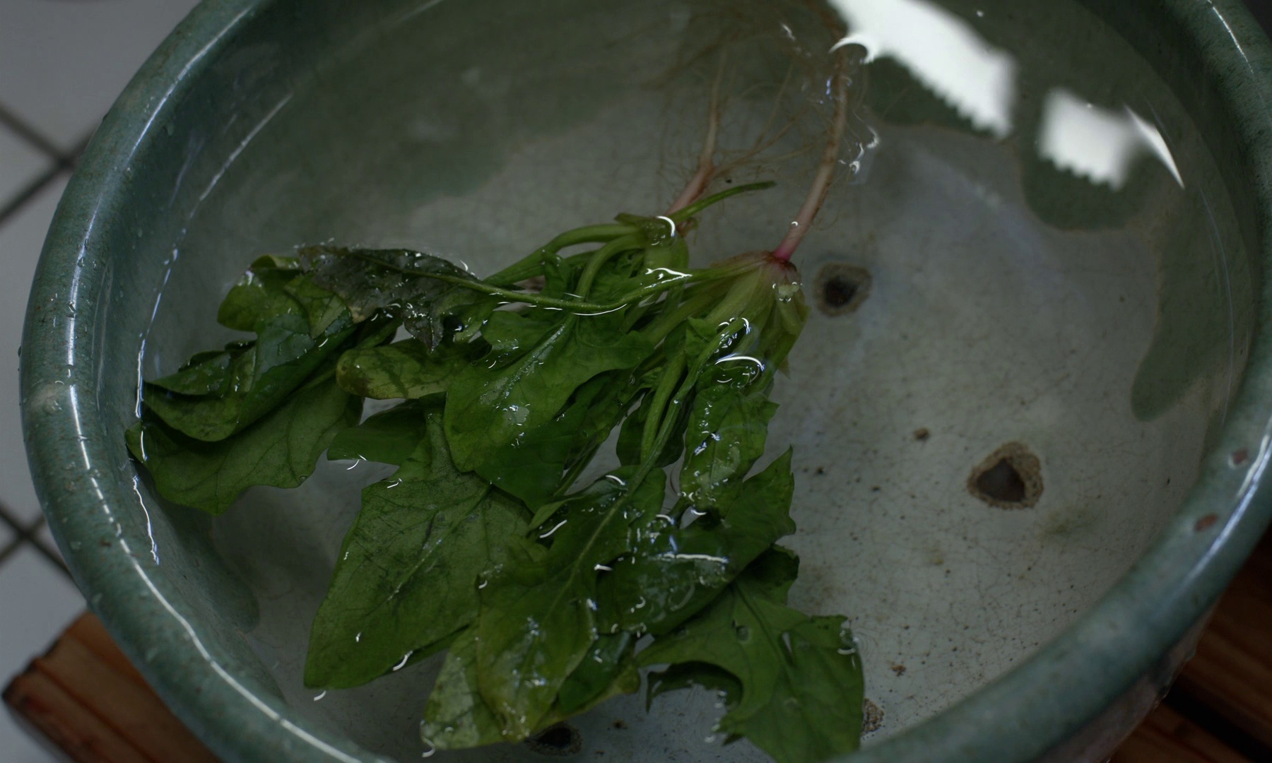 图片[2]-吃土的十二个月[简繁字幕].The.Zen.Diary.2022.1080p.BluRay.x264.DTS-CTRLHD 9.31GB-影音屋