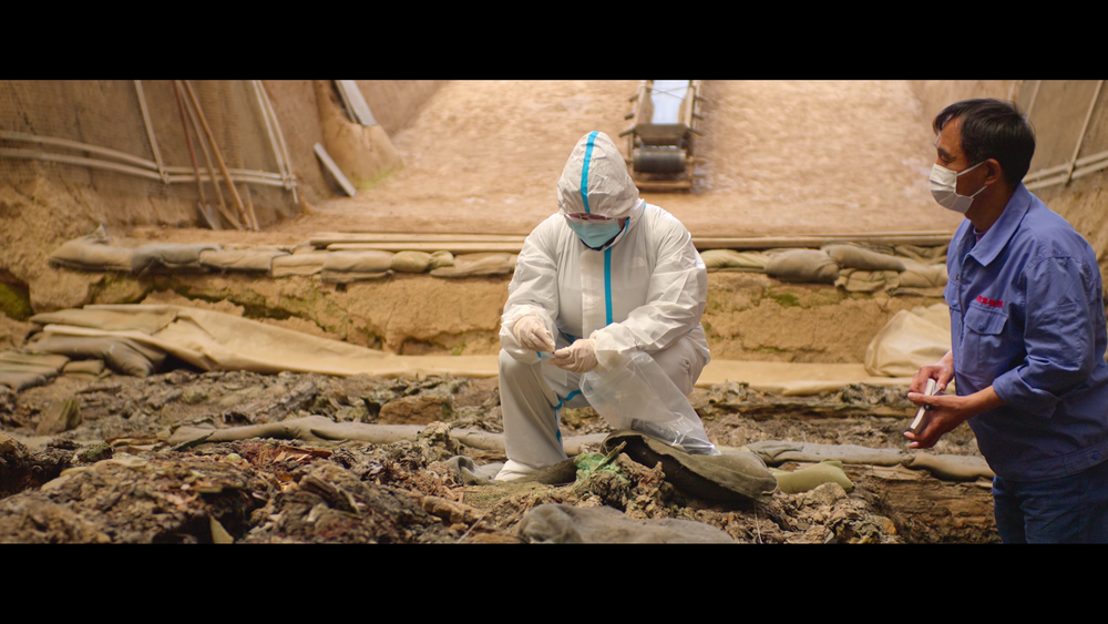 图片[6]-兵马俑揭秘[简繁英字幕].Mysteries.of.the.Terracotta.Warriors.2024.2160p.NF.WEB-DL.H.265.DDP5.1.Atmos-QuickIO 6.63GB-影音屋