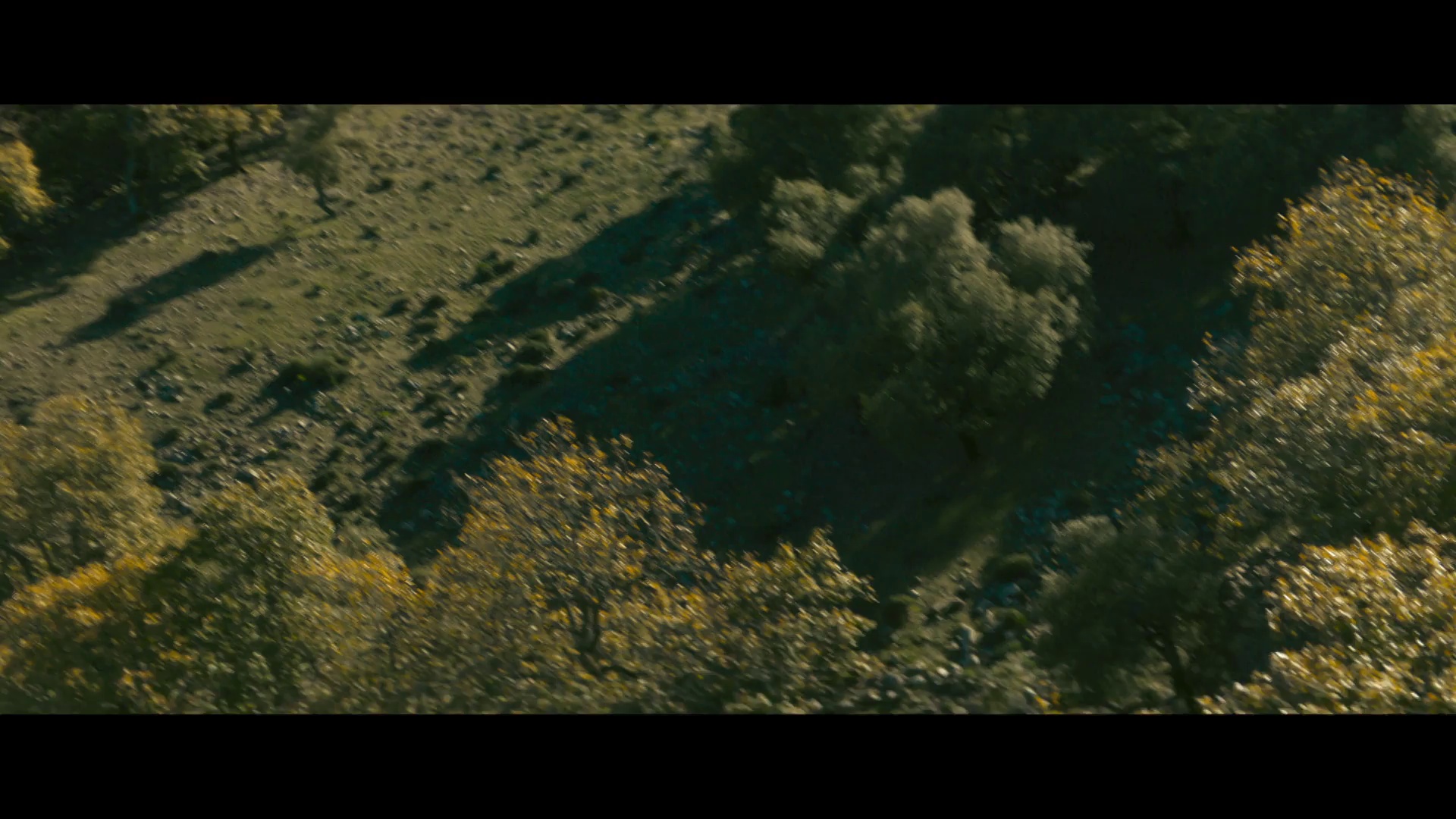 图片[7]-群山之后[简繁英字幕].Behind.the.Mountains.2023.1080p.MyVideo.WEB-DL.AAC2.0.H.264-DreamHD 1.15GB-影音屋