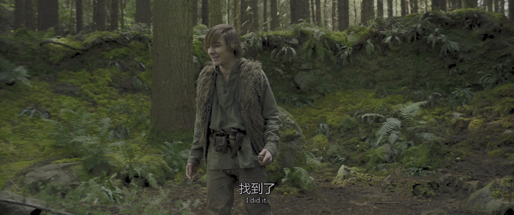 图片[2]-新·驯龙高手[国语配音/中文字幕].How.to.Train.Your.Dragon.2025.2160p.WEB-DL.H265.HDR.DDP5.1-QuickIO 10.53GB-影音屋