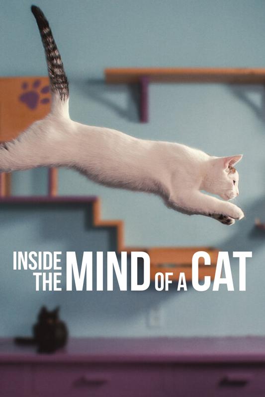 喵星人的奇思妙想[简繁英字幕].Inside.the.Mind.of.a.Cat.2022.2160p.NF.WEB-DL.H.265.DDP5.1-QuickIO 5.86GB-影音屋