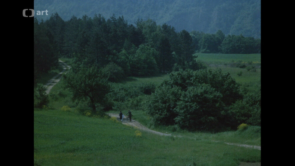 图片[5]-蕨草的阴影[英文字幕].Stin.kapradiny.1984.1080p.WEB.AAC.x264-PAMETNiK 3.84GB-影音屋