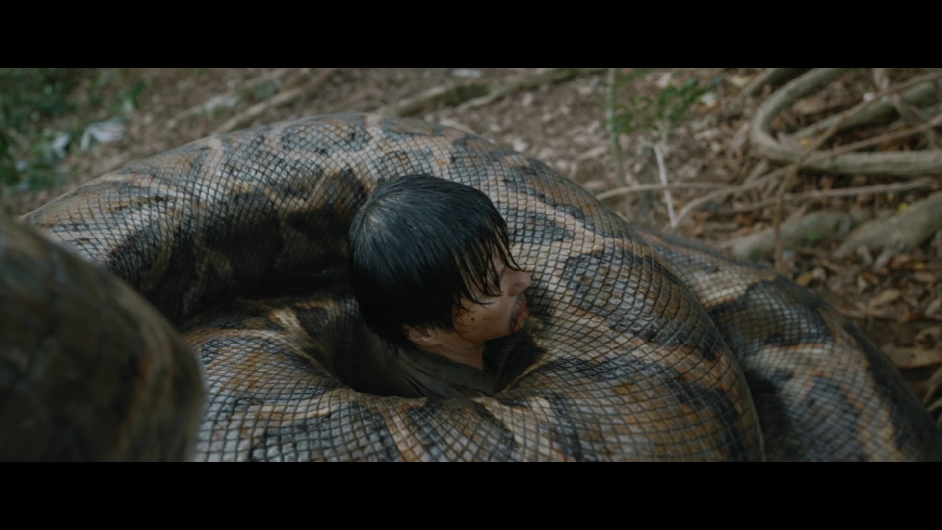 图片[7]-狂蟒之灾[国语音轨/简繁英字幕].Anaconda.Cursed.Jungle.2024.1080p.NF.WEB-DL.DDP.5.1.H.264-DreamHD 3.31GB-影音屋