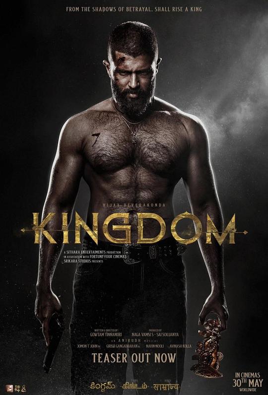 王国[无字片源].Kingdom.2025.1080p.NF.WEB-DL.DDP5.1.H264-PandaQT 3.55GB-影音屋