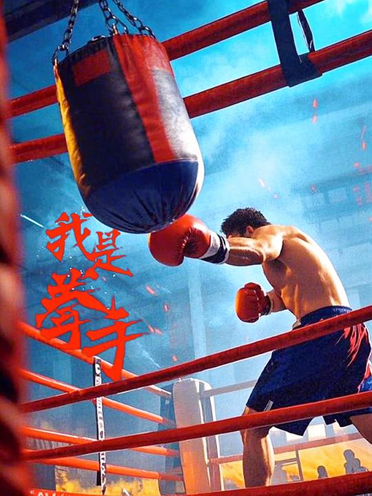 我是拳手[国语配音/中文字幕].I.am.a.Boxer.2025.1080p.WEB-DL.H264.AAC-QuickIO 1.66GB-影音屋