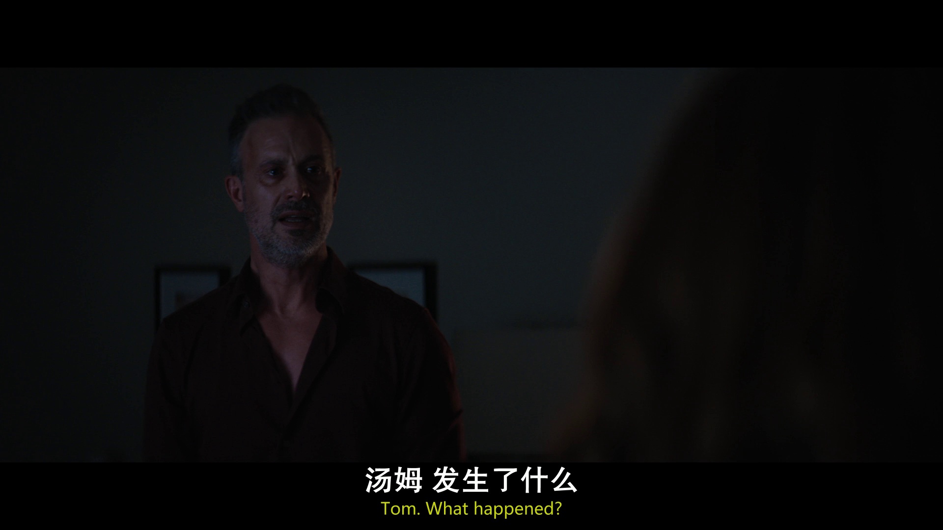 图片[7]-泳池里的女人[中文字幕].The.Girl.in.the.Pool.2024.BluRay.1080p.AAC.x264-DreamHD 2.62GB-影音屋
