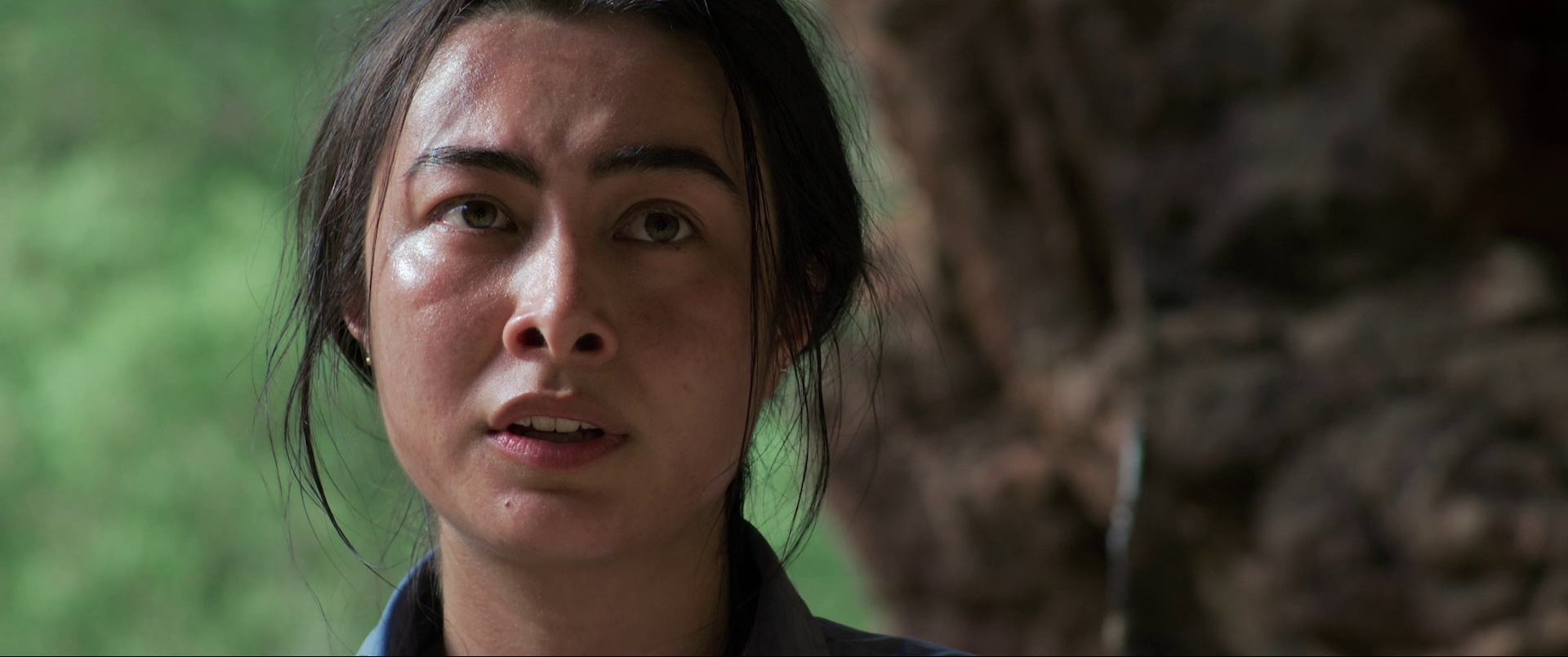 图片[4]-时光遗忘之地[中文字幕].The.Land.That.Time.Forgot.2025.1080p.BluRay.x264.DTS-HD.MA.5.1-ParkHD 9.26GB-影音屋