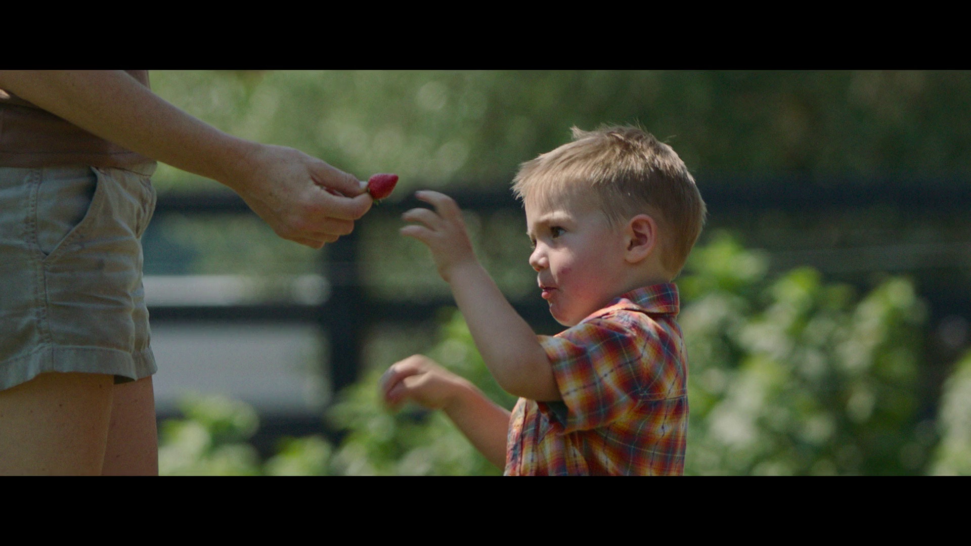 图片[3]-[BT下载][最大的小小农场：回归][WEB-MKV/1.66GB][国英多音轨/简繁英字幕][1080P][流媒体][PandaQT]-影音屋