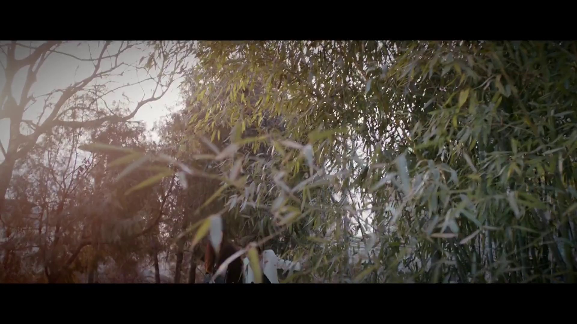 图片[2]-[BT下载][碟仙玩偶][WEB-MKV/4.73GB][中文字幕][1080P][流媒体][DreamHD]-影音屋