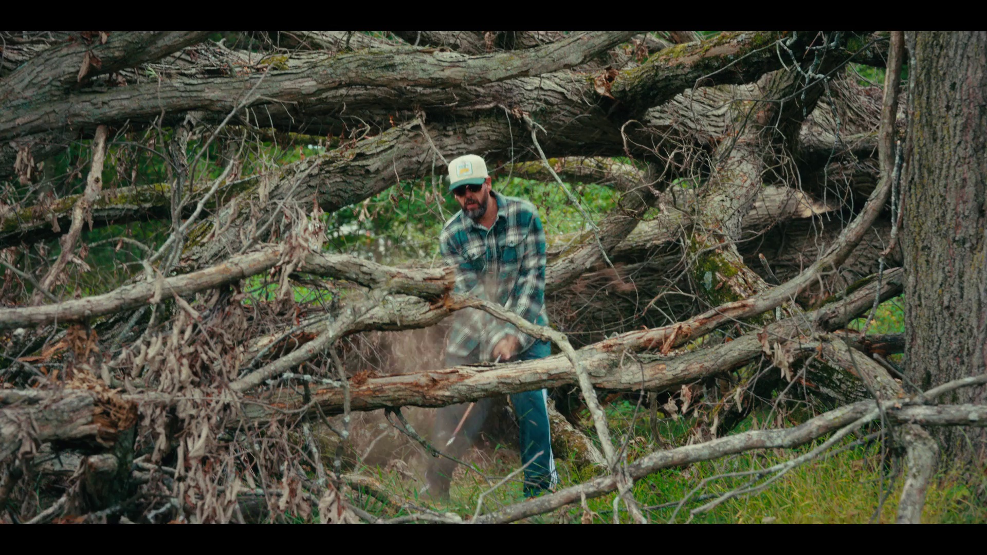 图片[2]-[BT下载][高尔夫球也疯狂2][WEB-MKV/4.65GB][简繁英字幕][1080P][流媒体][PandaQT]-影音屋