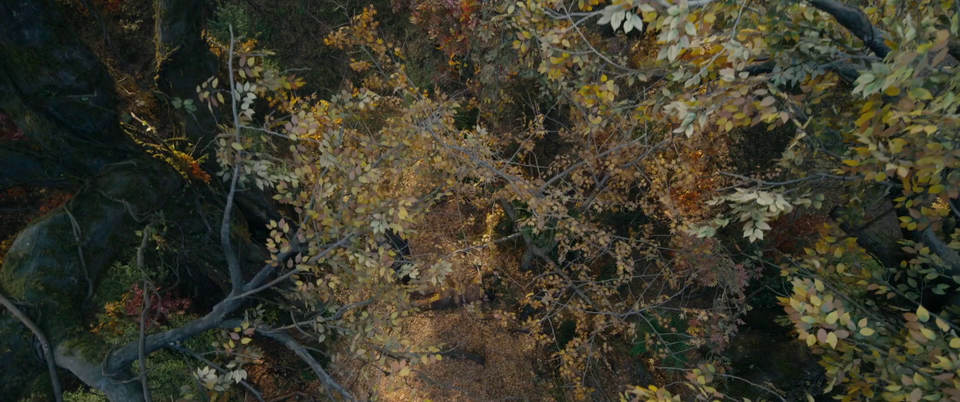 图片[2]-[BT下载][封神第二部：战火西岐][WEB-MKV/6.97GB][国语配音][1080P][流媒体][DreamHD]-影音屋