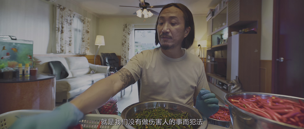 图片[4]-[BT下载][阖家辣][WEB-MKV/5.39GB][国语配音/中文字幕][4K-2160P][60帧率][HDR版本][H265编码][流媒体][PandaQT]-影音屋