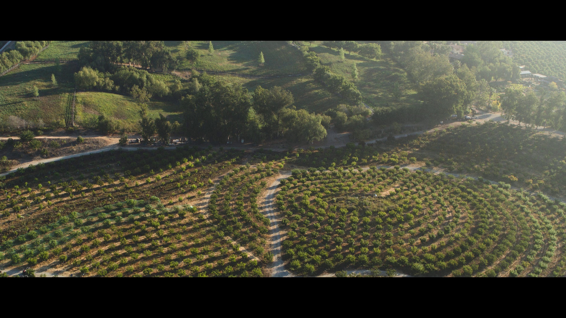 图片[4]-[BT下载][最大的小小农场：回归][WEB-MKV/1.66GB][国英多音轨/简繁英字幕][1080P][流媒体][PandaQT]-影音屋