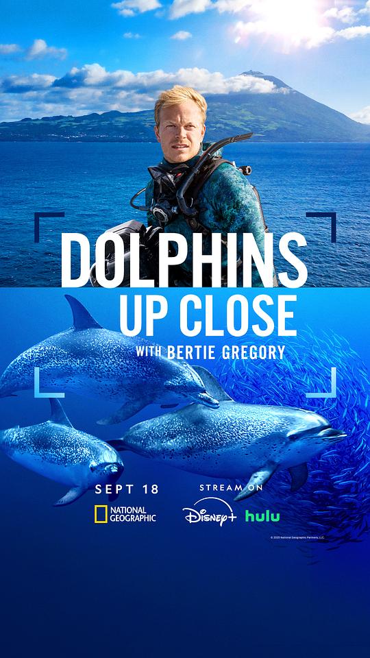 [BT下载][摄影师贝尔蒂与海豚零距离][WEB-MKV/2.47GB][简繁英字幕][1080P][流媒体][DreamHD]-影音屋