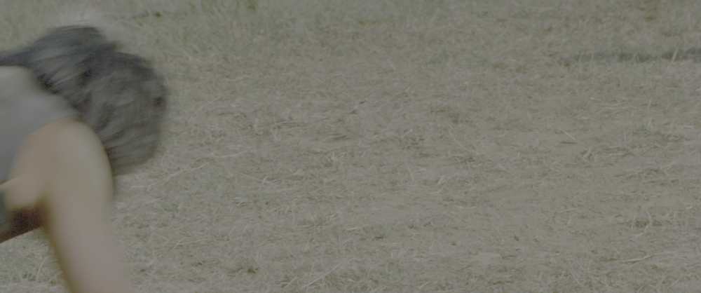 图片[7]-[BT下载][师弟出马][WEB-MKV/11.05GB][国语音轨/简繁英字幕][4K-2160P][HDR版本][H265编码][流媒体][PandaQT]-影音屋