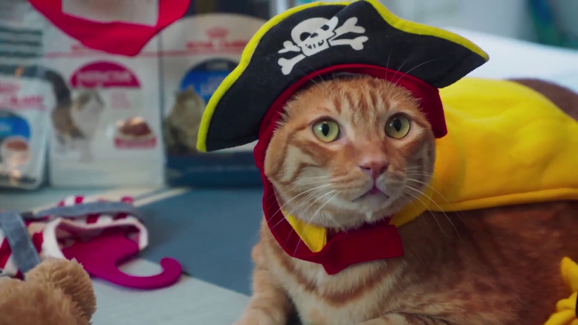 图片[4]-[BT下载][如果主子会说话][WEB-MP4/1.15GB][无字片源][1080P][流媒体][PandaQT]-影音屋