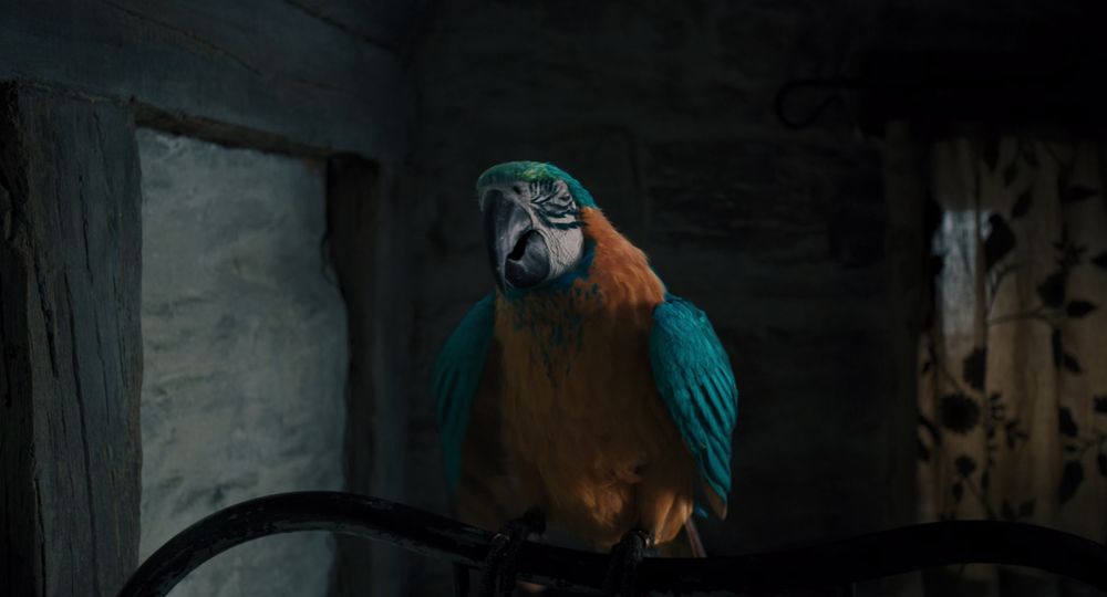 图片[3]-[BT下载][多力特的奇幻冒险][WEB-MKV/9.52GB][国英多音轨/简繁英字幕][4K-2160P][H265编码][流媒体][PandaQT]-影音屋