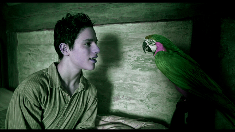 图片[3]-[BT下载][多力特的奇幻冒险][WEB-MKV/17.81GB][中文字幕][4K-2160P][杜比视界版本][H265编码][流媒体][PandaQT]-影音屋