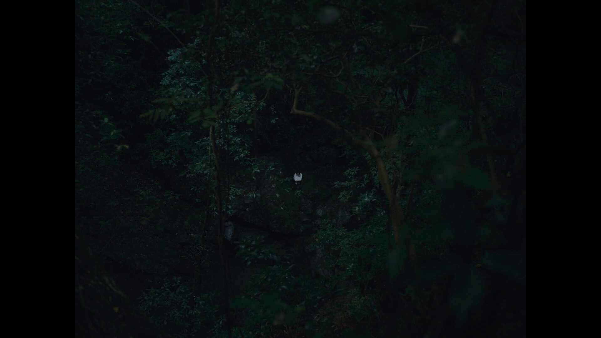 图片[7]-[BT下载][纳米比亚的沙漠][WEB-MKV/7.62GB][中文字幕][1080P][流媒体][DreamHD]-影音屋