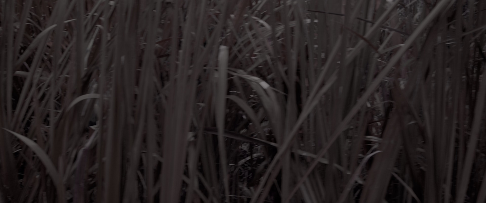 图片[4]-[BT下载][解放黑奴][WEB-MKV/22.75GB][简繁英字幕][4K-2160P][杜比视界版本][H265编码][流媒体][PandaQT]-影音屋