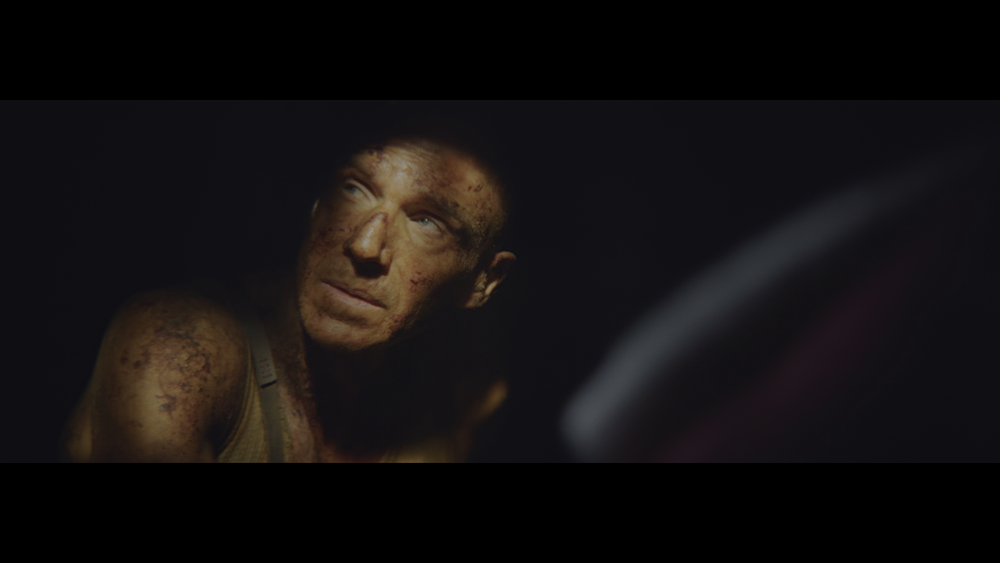 图片[7]-[BT下载][惊变28年][BD-MKV/58.29GB][中文字幕/特效字幕][4K-2160P][HDR+杜比视界双版本][H265编码][蓝光压制][DreamHD]-影音屋