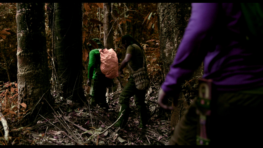 图片[3]-[BT下载][迷失丛林][WEB-MKV/11.00GB][简繁英字幕][4K-2160P][杜比视界版本][H265编码][流媒体][DreamHD]-影音屋