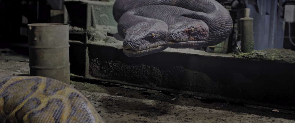 图片[6]-[BT下载][工厂蛇患][WEB-MKV/8.17GB][国语配音/中文字幕][4K-2160P][60帧率][HDR版本][H265编码][流媒体][PandaQT]-影音屋