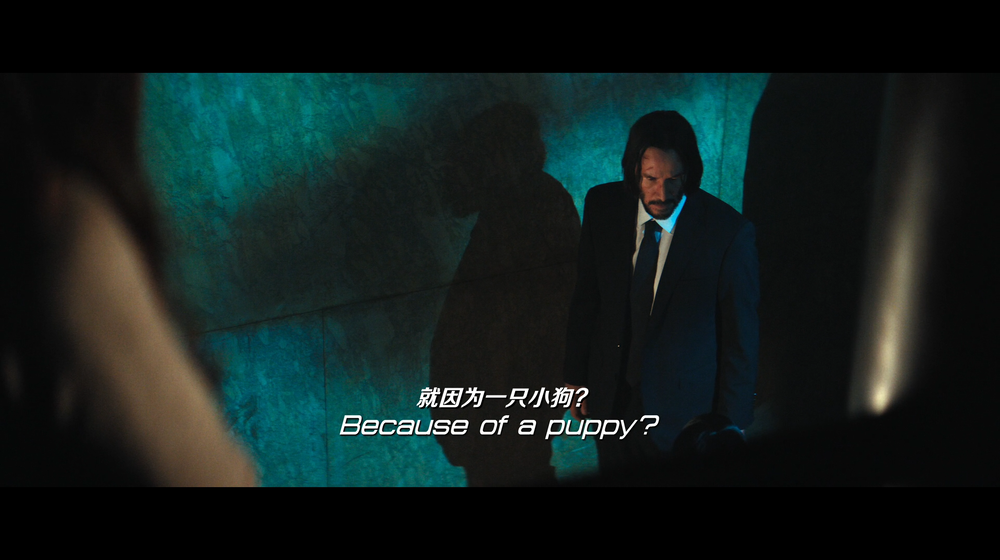 图片[3]-[BT下载][疾速追杀：芭蕾杀姬][WEB-MKV/9.37GB][中英特效字幕][1080P][H.264][iTunes][ADWeb]-影音屋