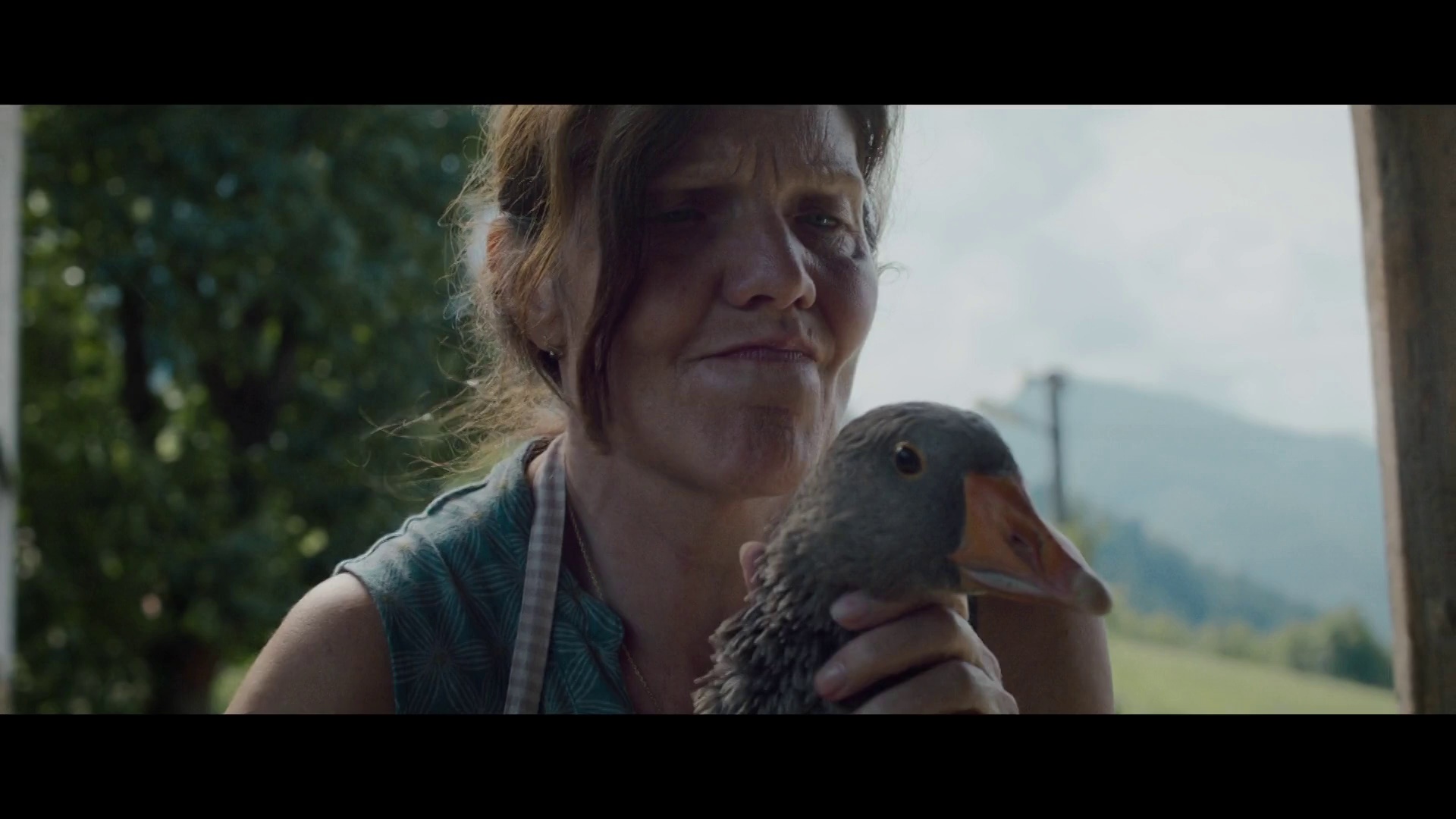 图片[4]-[BT下载][夜间女妖][WEB-MKV/6.20GB][中文字幕][1080P][流媒体][DreamHD]-影音屋