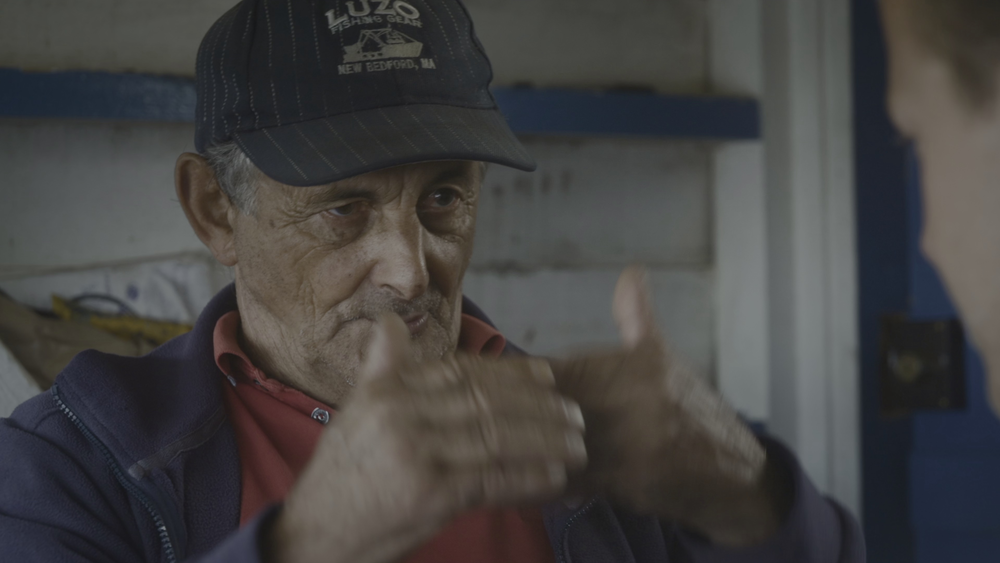 图片[3]-[BT下载][摄影师贝尔蒂与海豚零距离][WEB-MKV/5.10GB][简繁英字幕][4K-2160P][HDR版本][H265编码][流媒体][DreamHD]-影音屋