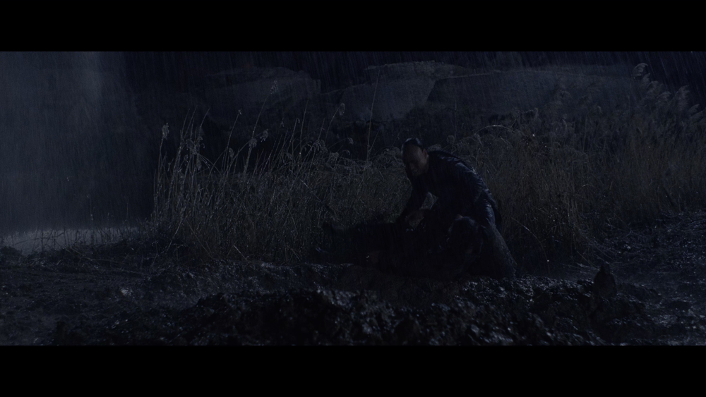 图片[7]-[BT下载][卧虎藏龙][WEB-MKV/21.08GB][中文字幕][4K-2160P][HDR版本][H265编码][流媒体][PandaQT]-影音屋