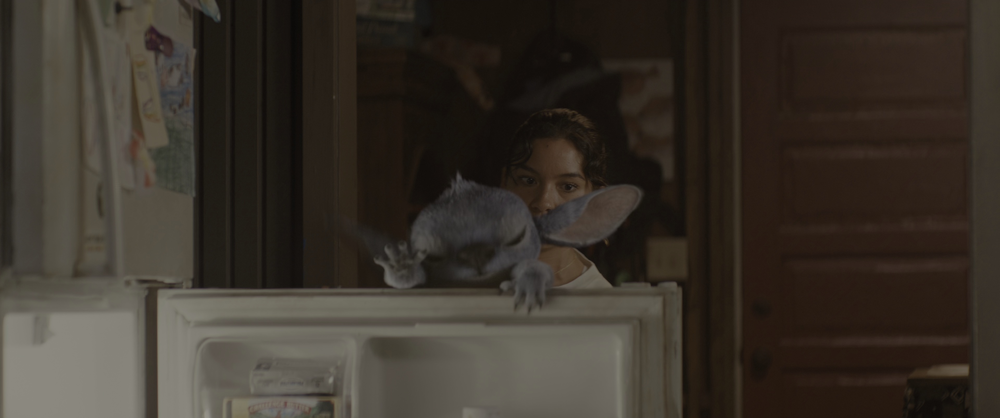 图片[4]-[BT下载][星际宝贝史迪奇][BD-MKV/17.35GB][国英多音轨/简繁英字幕][4K-2160P][HDR+杜比视界双版本][H265编码][蓝光压制][Dream-影音屋