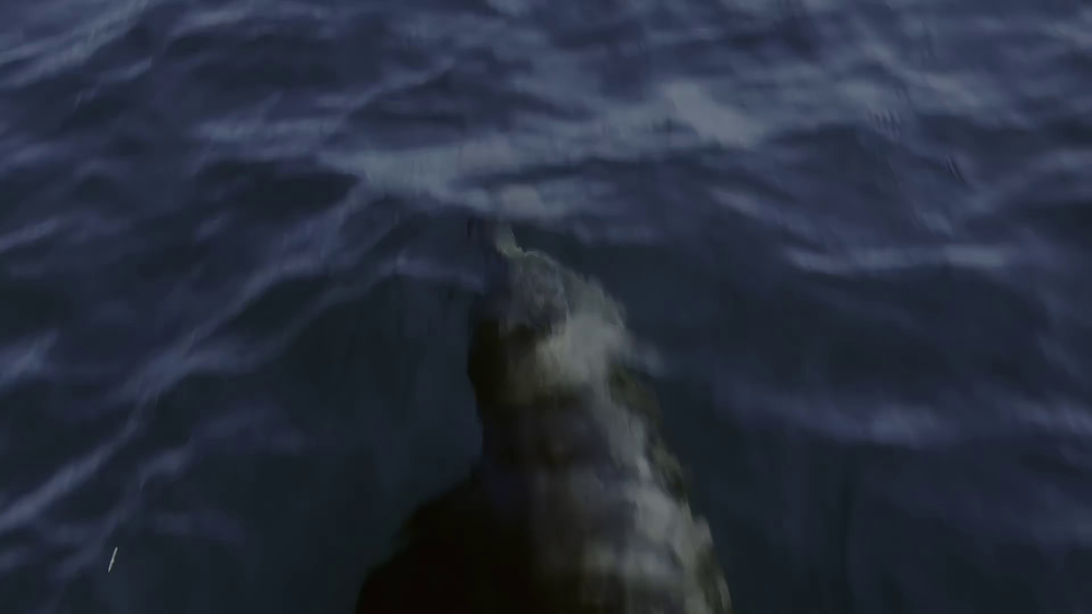 图片[5]-[BT下载][狂野太平洋][WEB-MP4/1.34GB][中文字幕][4K-2160P][H265编码][流媒体][PandaQT]-影音屋