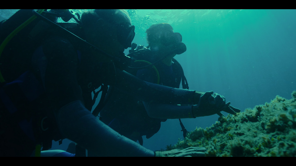 图片[6]-[BT下载][阿玛菲艳阳天][WEB-MKV/8.55GB][简繁英字幕][4K-2160P][H265编码][流媒体][QuickIO]-影音屋