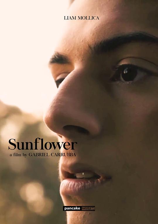 [BT下载][向日葵][WEB-MKV/4.48GB][中文字幕][1080P][流媒体][DreamHD]-影音屋