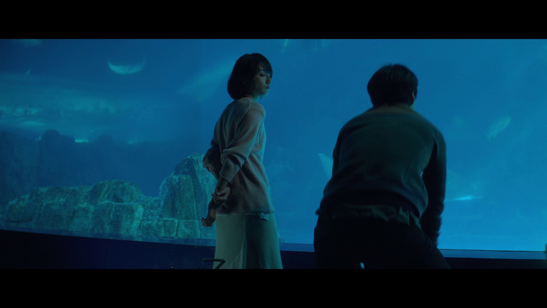 图片[3]-[BT下载][你的情歌][WEB-MKV/4.66GB][国语配音/中文字幕][1080P][流媒体][DreamHD]-影音屋