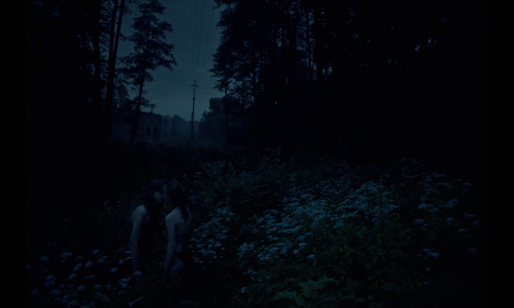 图片[4]-[BT下载][无耻之心][WEB-MKV/3.66GB][无字片源][1080P][流媒体][DreamHD]-影音屋