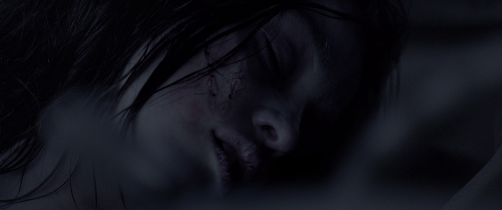 图片[5]-[BT下载][第一滴血5：最后的血][BD-MKV/22.00GB][中文字幕/特效字幕][4K-2160P][HDR+杜比视界双版本][H265编码][蓝光压制][Drea-影音屋