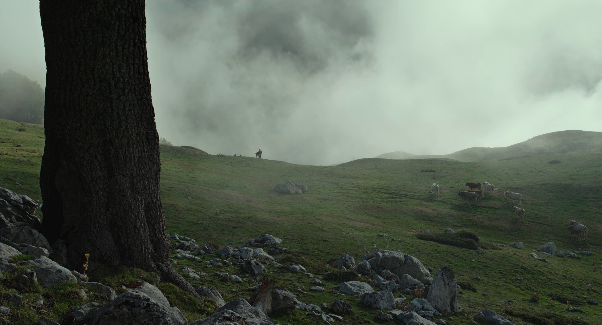 图片[7]-[BT下载][洞][BD-MKV/7.91GB][简繁英字幕][1080P][蓝光压制][QuickIO]-影音屋