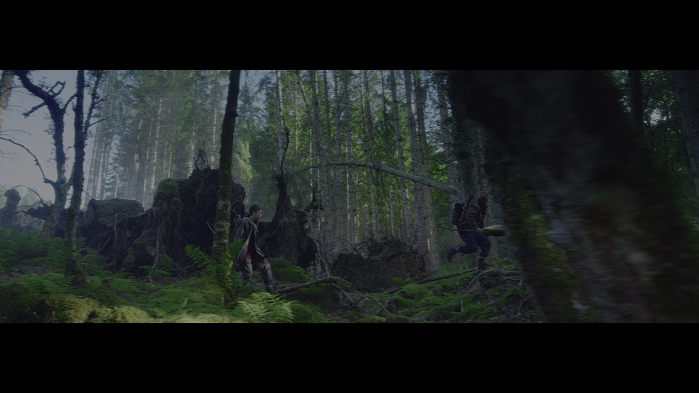 图片[2]-[BT下载][惊变28年][BD-MKV/58.29GB][中文字幕/特效字幕][4K-2160P][HDR+杜比视界双版本][H265编码][蓝光压制][DreamHD]-影音屋